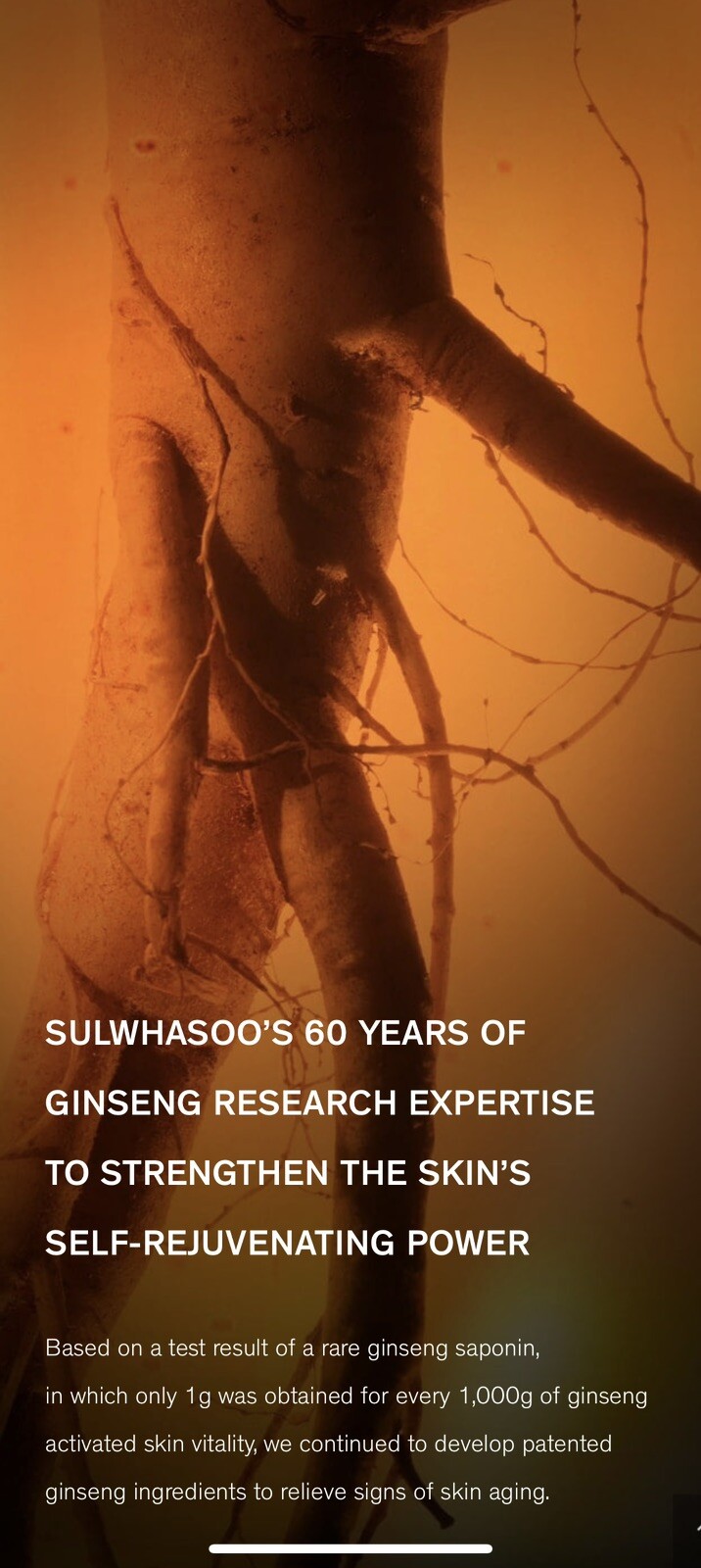 2024 Sulwhasoo Concentrated Ginseng Rejuvenating Cream 5ml x 5 Pcs (25ml)