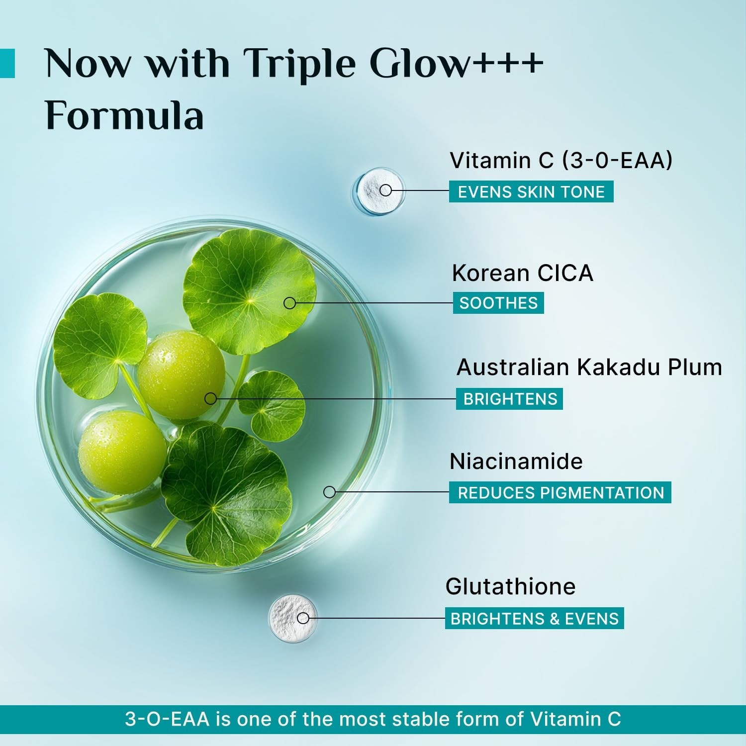 Pilgrim 10% Vitamin C Serum for Glowing Skin With 5% Niacinamide 30ml Pack Of 2