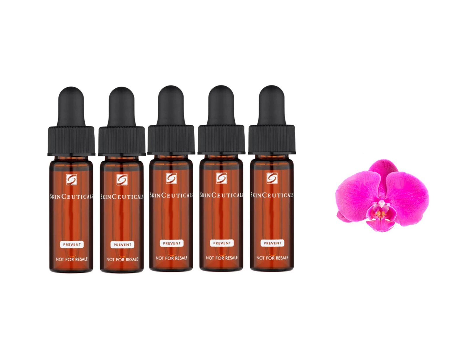 Skinceuticals C E Ferulic Anti-Aging 5 Samples