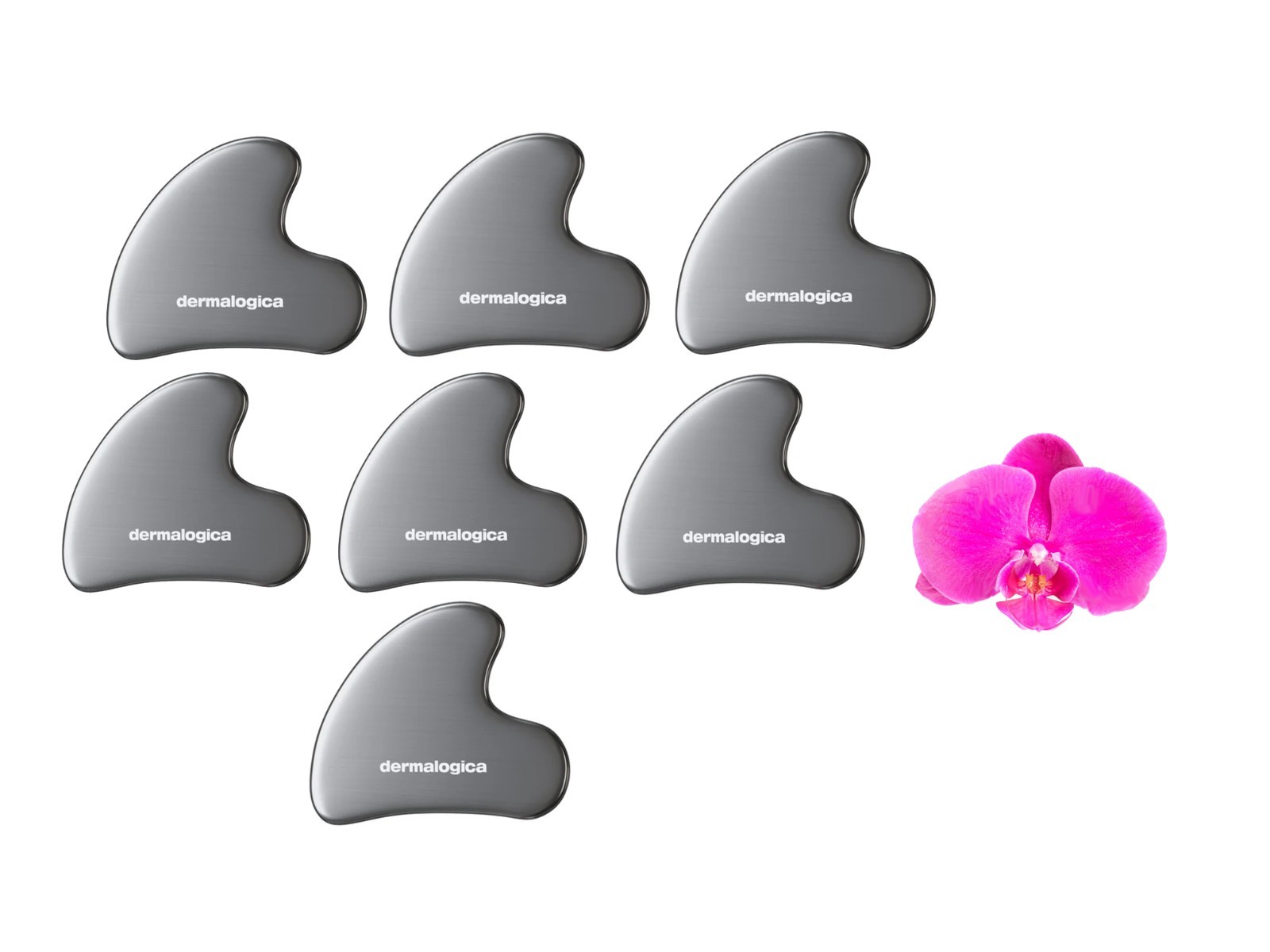 Dermalogica Stainless Steel Gua Sha x 7