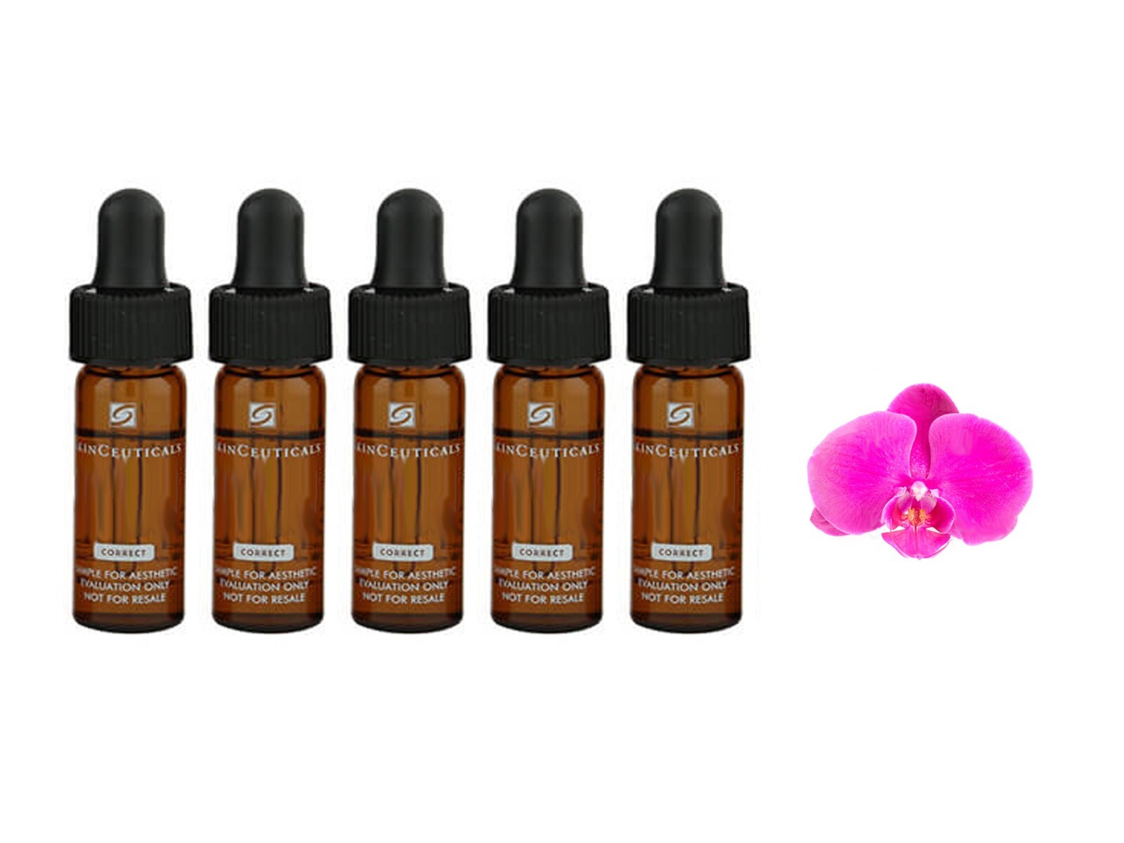 Glycolic 10 Renew Overnight 5 Samples Brand New