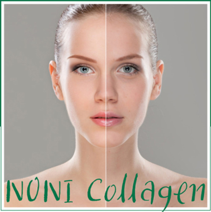 ANJO Noni Collagen Wrinkle Cream 40ml x3 Collagen Moisturizing Cream Anti Agin