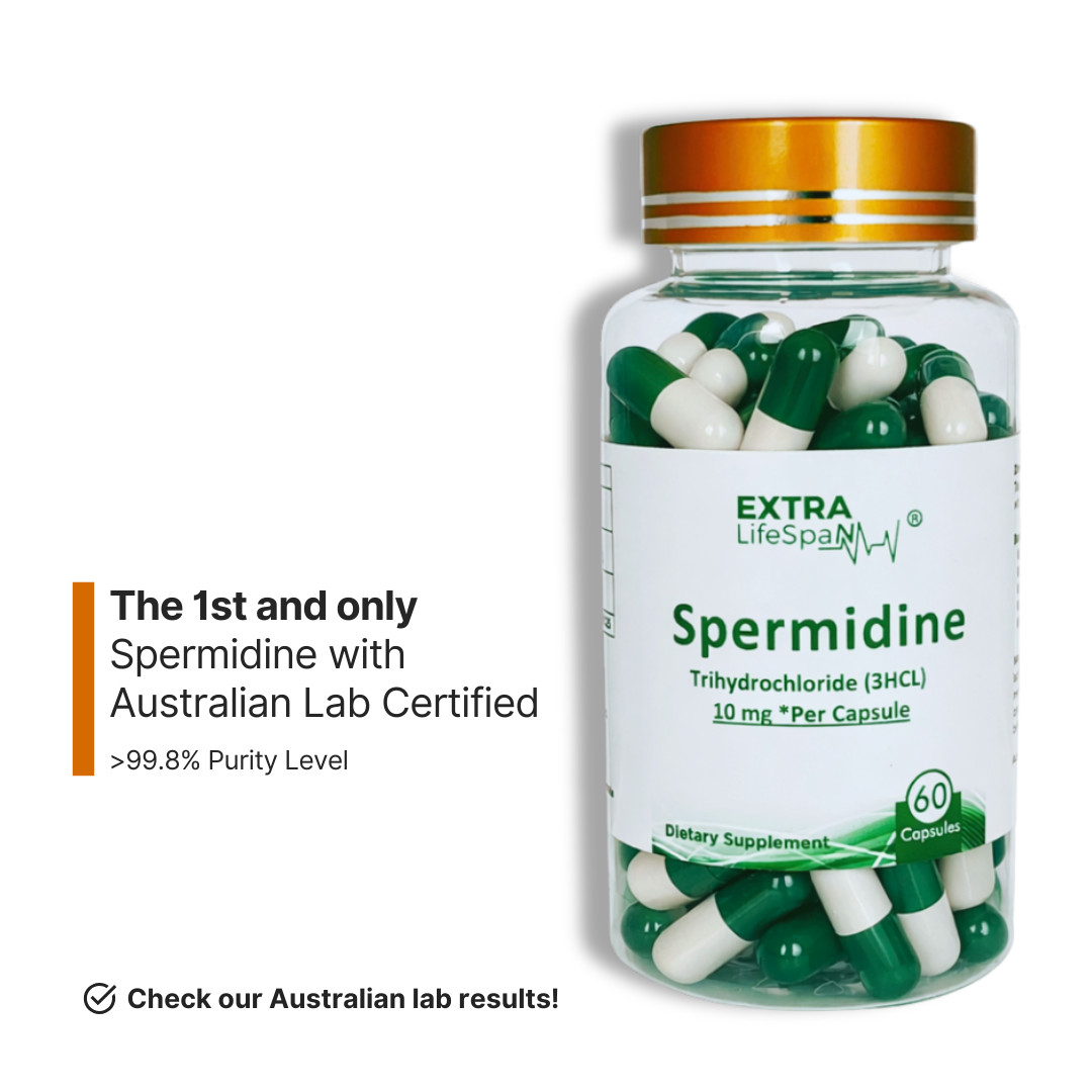 Spermidine Australia 10mg Per Capsule + Resveratrol 60s Anti Aging Supplements
