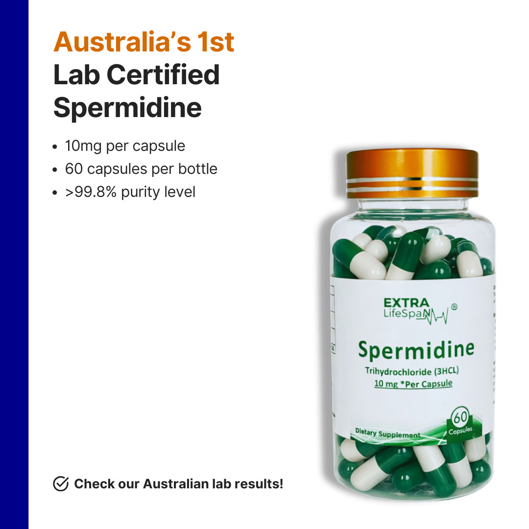 Spermidine Australia 10mg Per Capsule + Resveratrol 60s Anti Aging Supplements