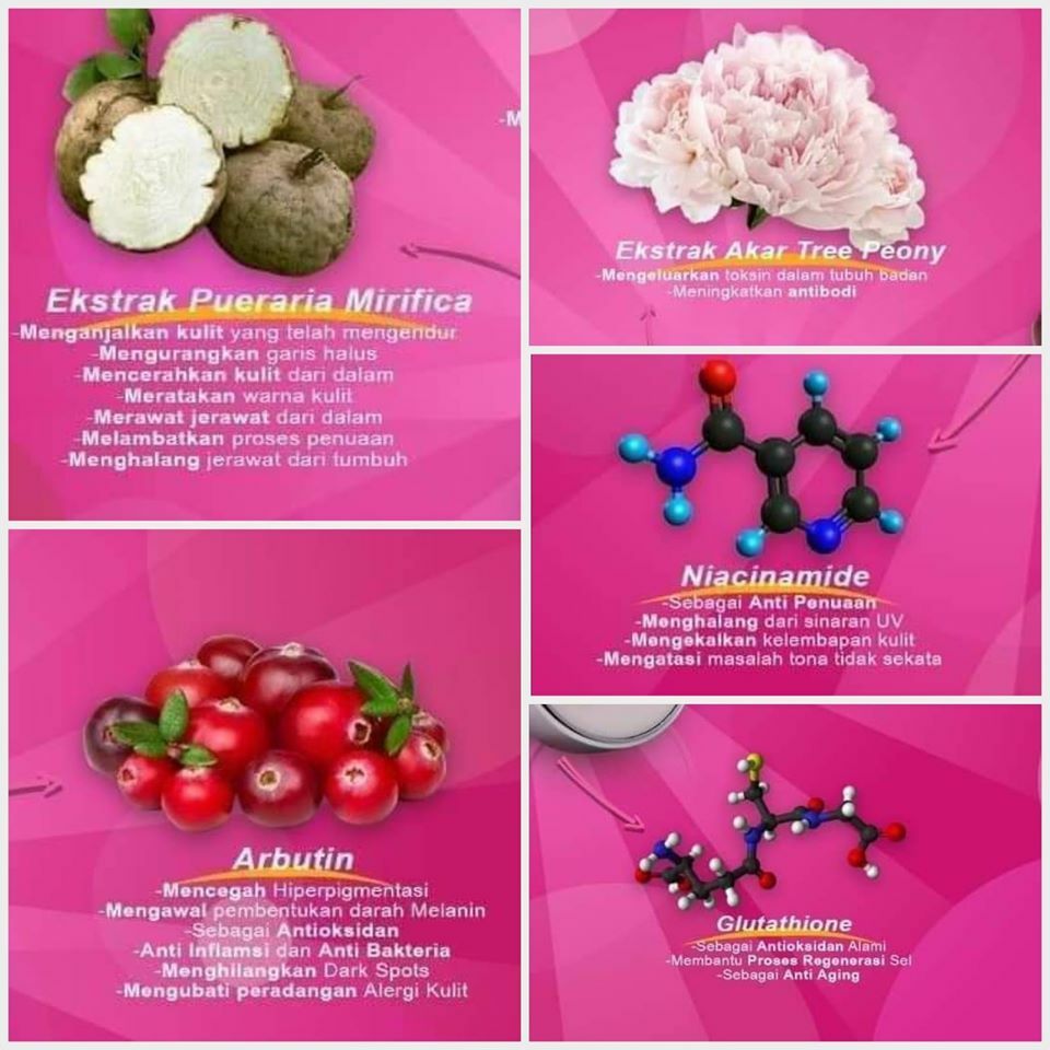 Skin Care Anti-Aging WDTA 15gm – Look fresh,look beauty,look young with WD