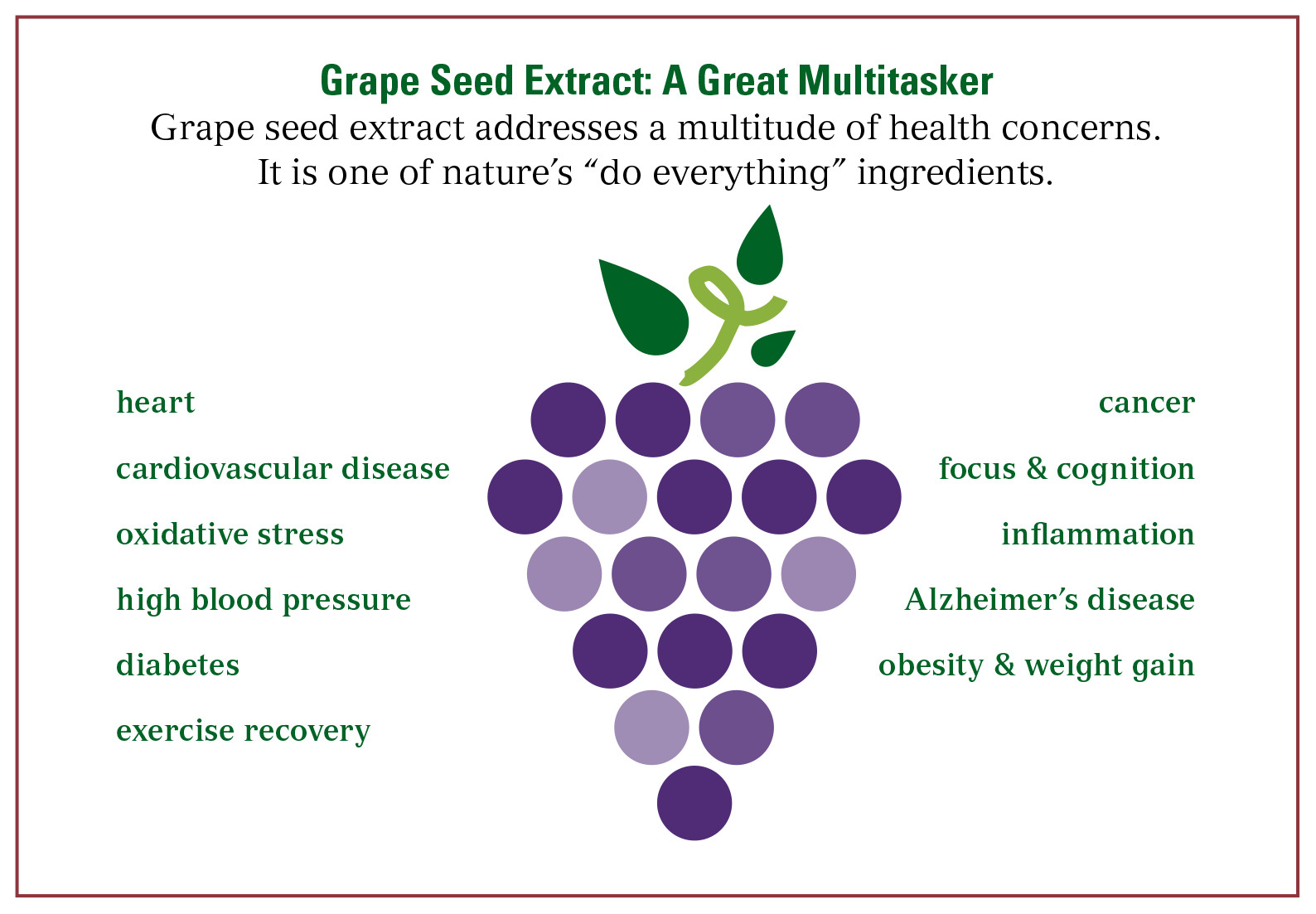 antioxidant blend supplements – SPIRULINA – GRAPE SEED EXTRACT COMBO 2B – grape